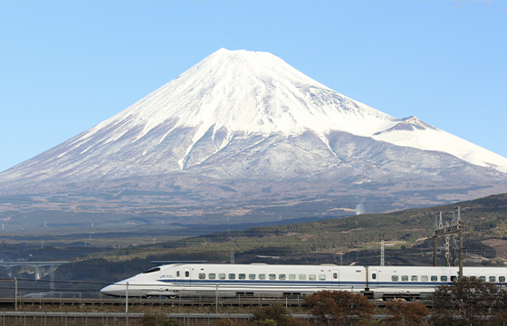 地元密着力で“価値”を最大化！